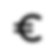 Icon Euro
