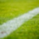 Stadion_Rasen