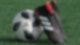 Berichterstattung im Fußball