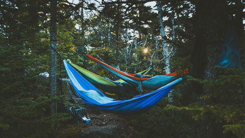 Macht Eure Nacht zum Erlebnis! 