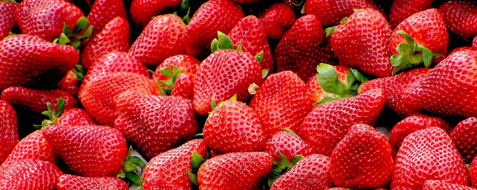 Für alle, die Draußen lieben!