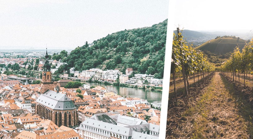 Herbstideen Ausflüge