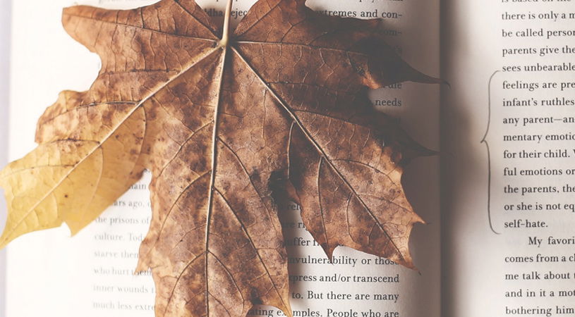 Fakten über den Herbst