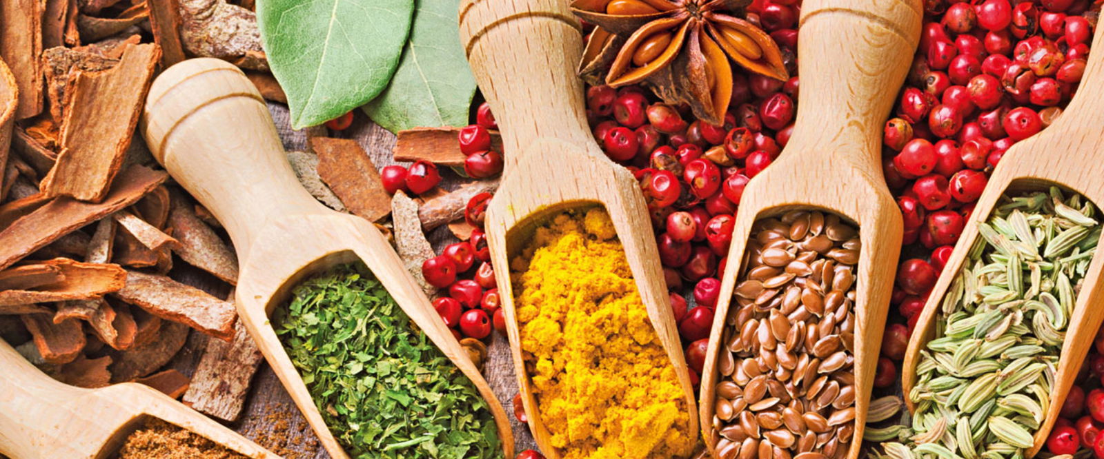 Märkte Stuttgart Titelbild