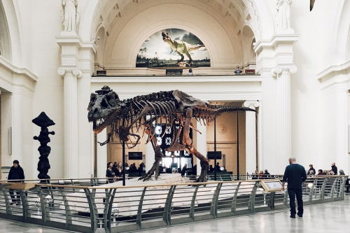 Checkliste für Deinen Sommer 