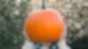 Freizeittipps für Deinen Herbst