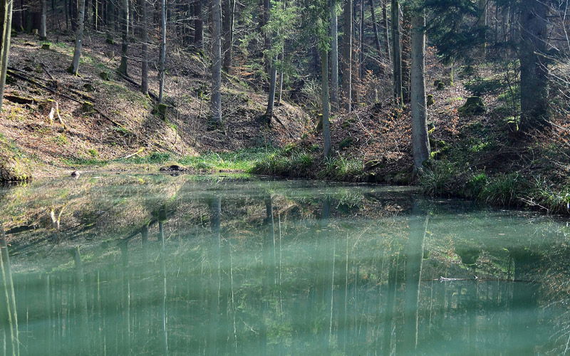 Plüderhausen Badesee