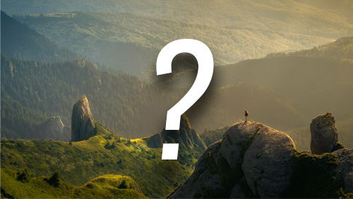 Macht Eure Nacht zum Erlebnis! 