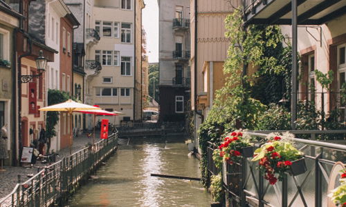 Tagesausflug Freiburg im Breisgau