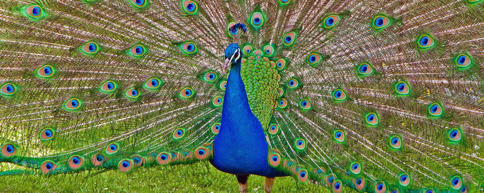 Für alle, die Draußen lieben!