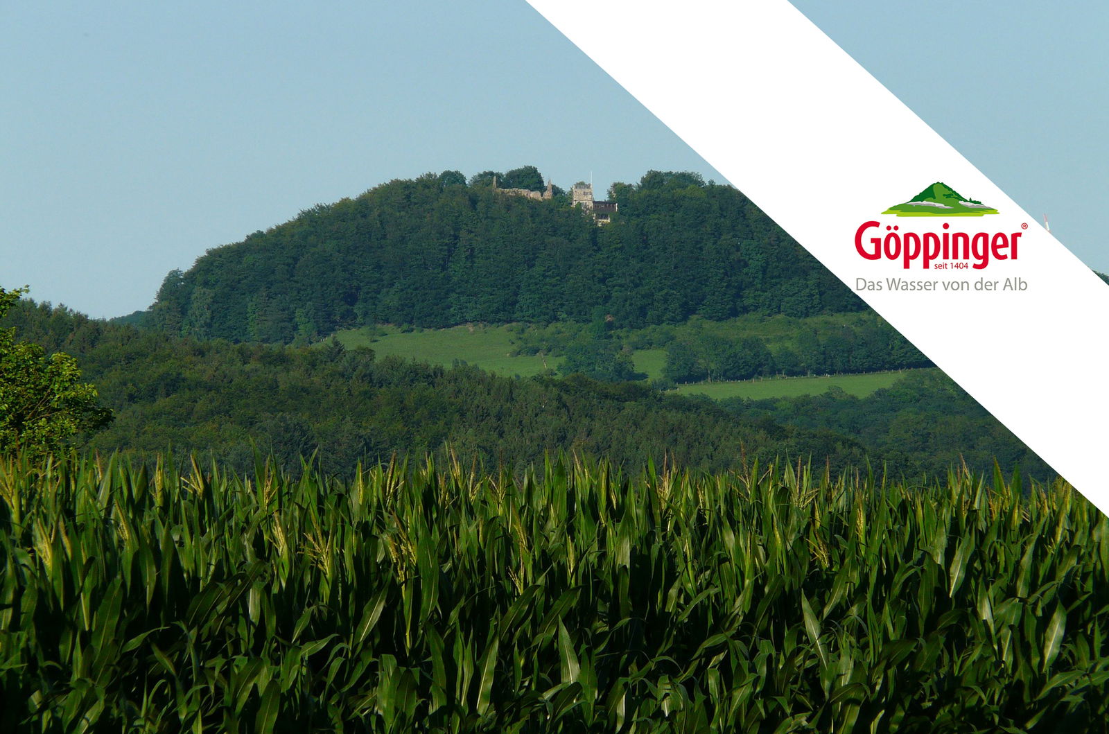 Fit in den Frühling