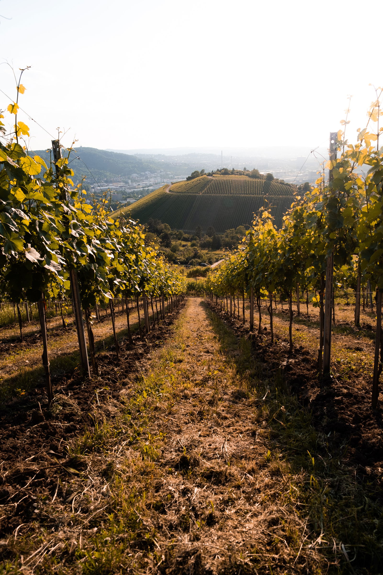 Tagesausflüge in der Region