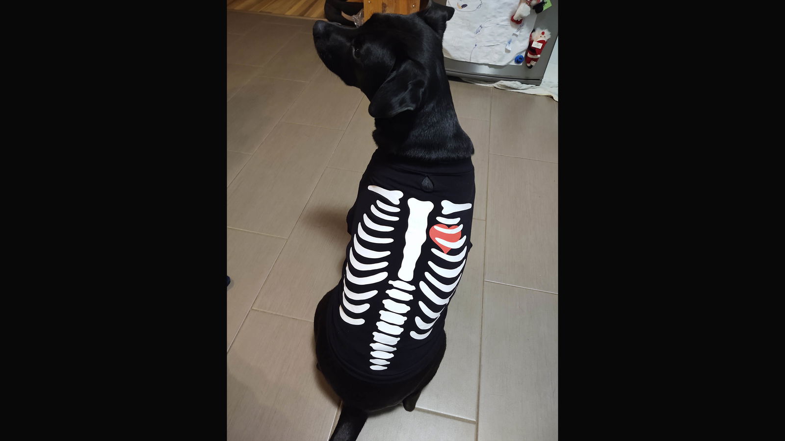 Halloween Animatronics