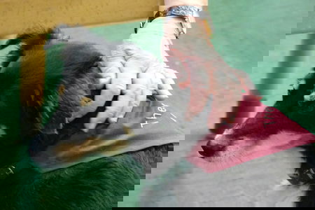 Das Klinikum Schloss Winnenden 5