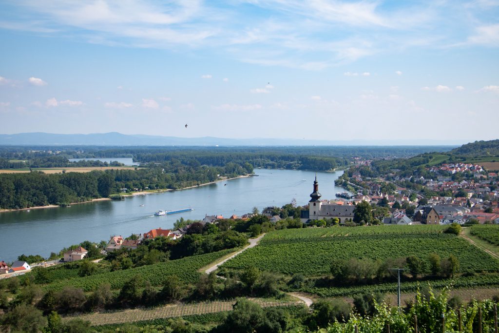 Wunderschöne Ausblicke in Rheinhessen