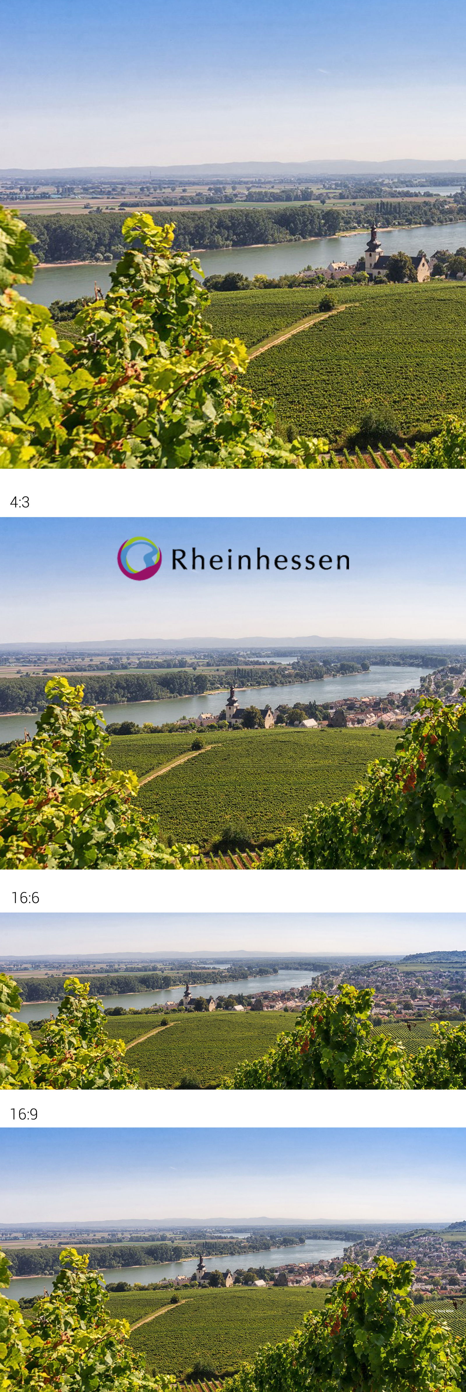 Komm wir zeigen Dir Rheinhessen!