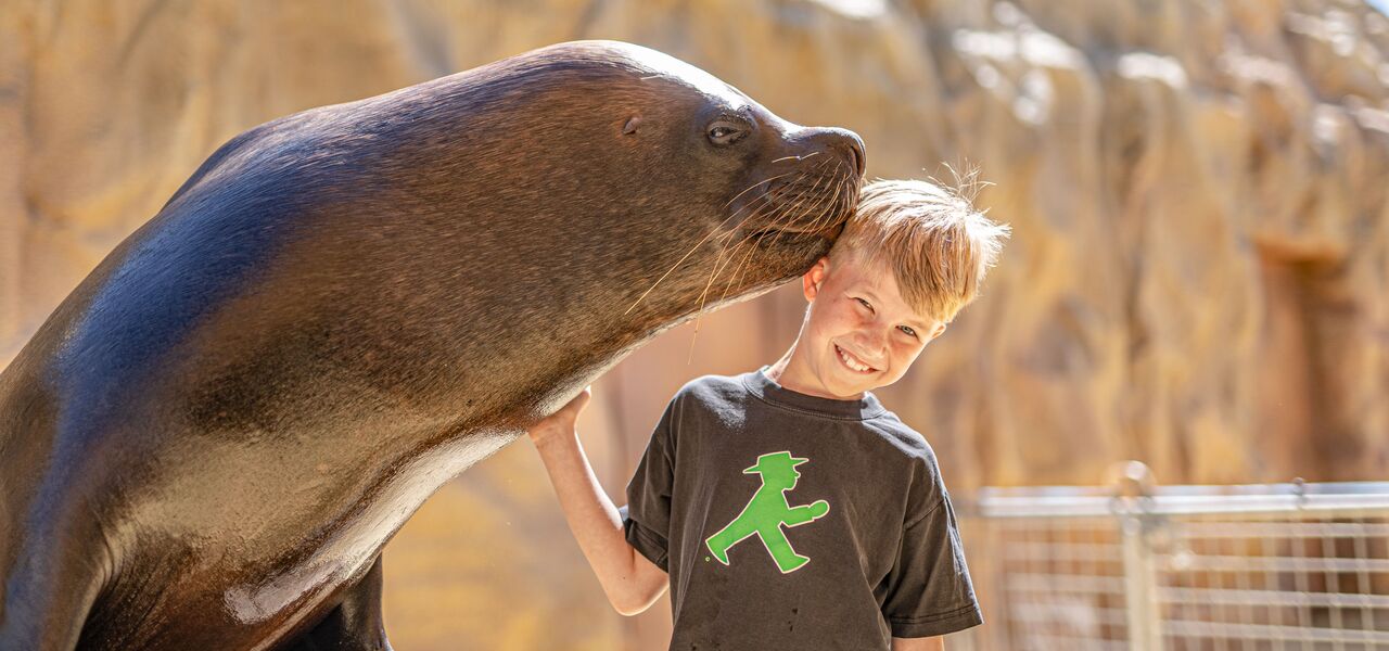 CONNY-LAND Seelöwentrainer