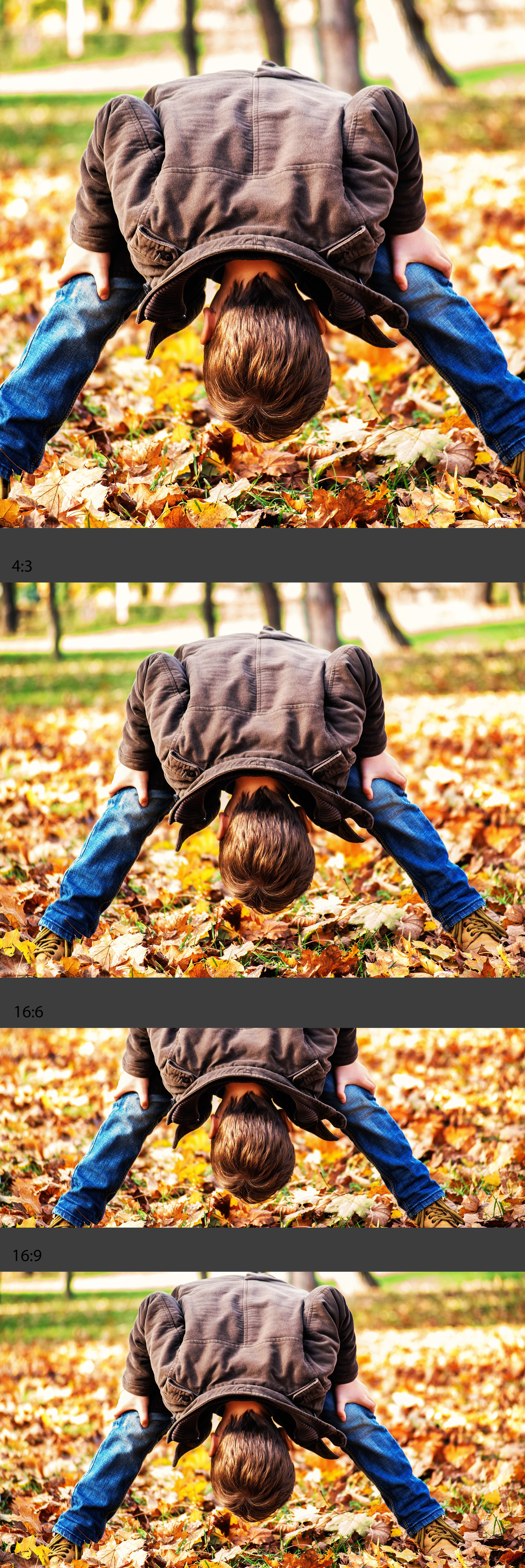 Titelbild Herbst mit Kindern