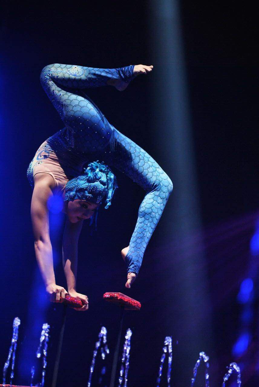 Ostercircus Hofmeister Bietigheim 2023