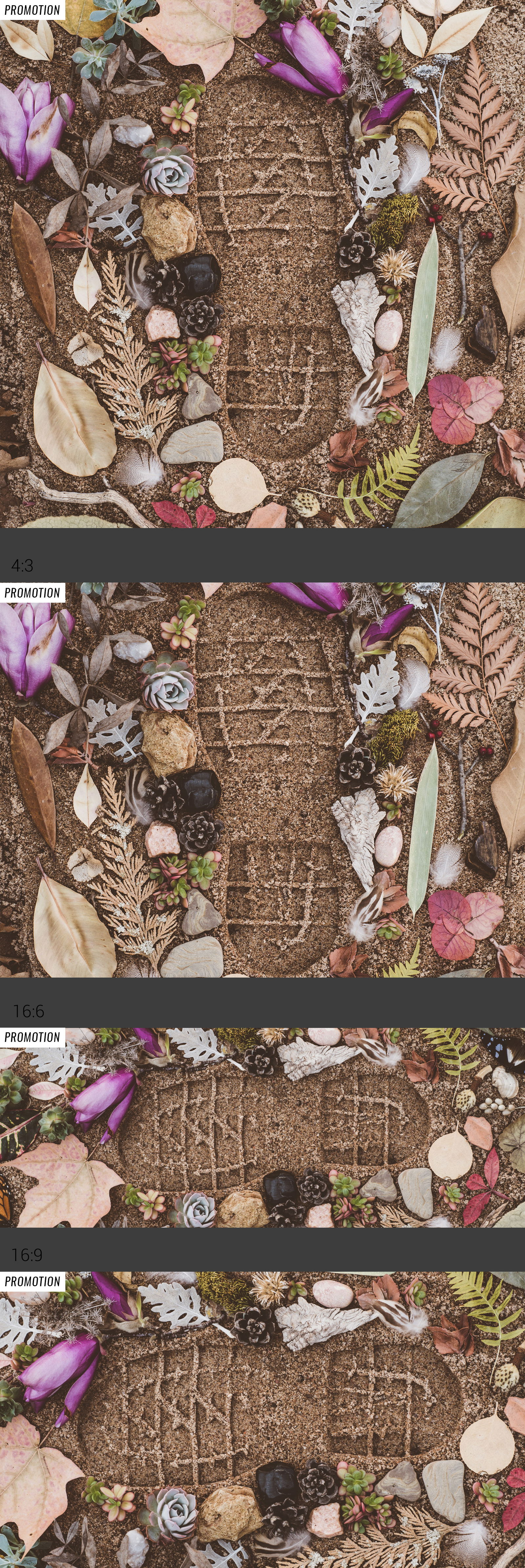 Ökologischer Fußabdruck