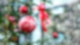 Weihnachtskugel