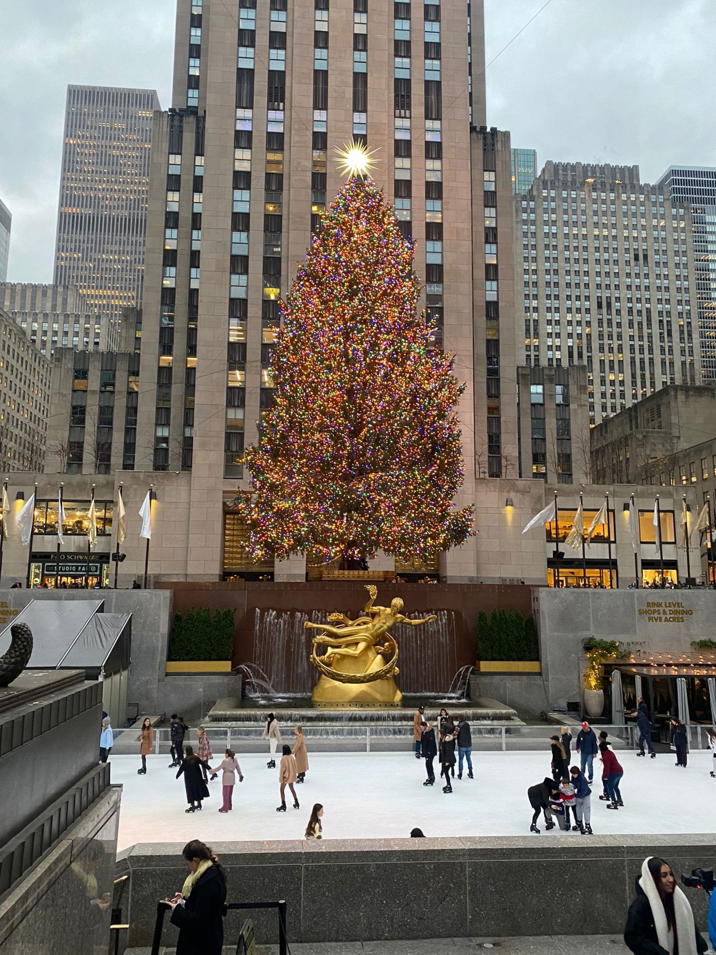 Sandras Weihnachtswunsch Dolling