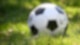 Fußball Spieler Gras