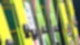 Ski Ski springen