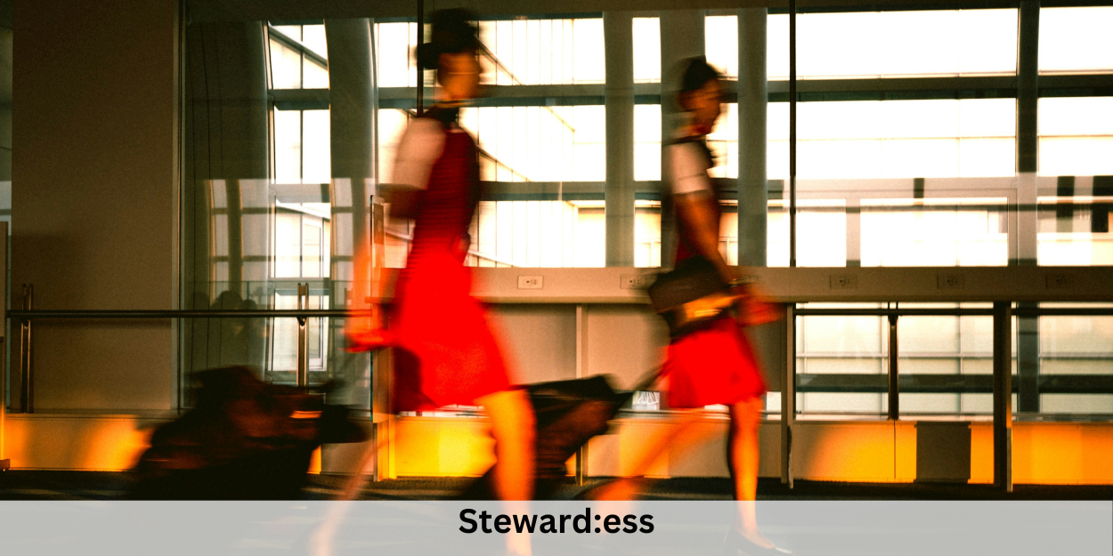 Steward:ess