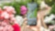 Wilhelma App Handy