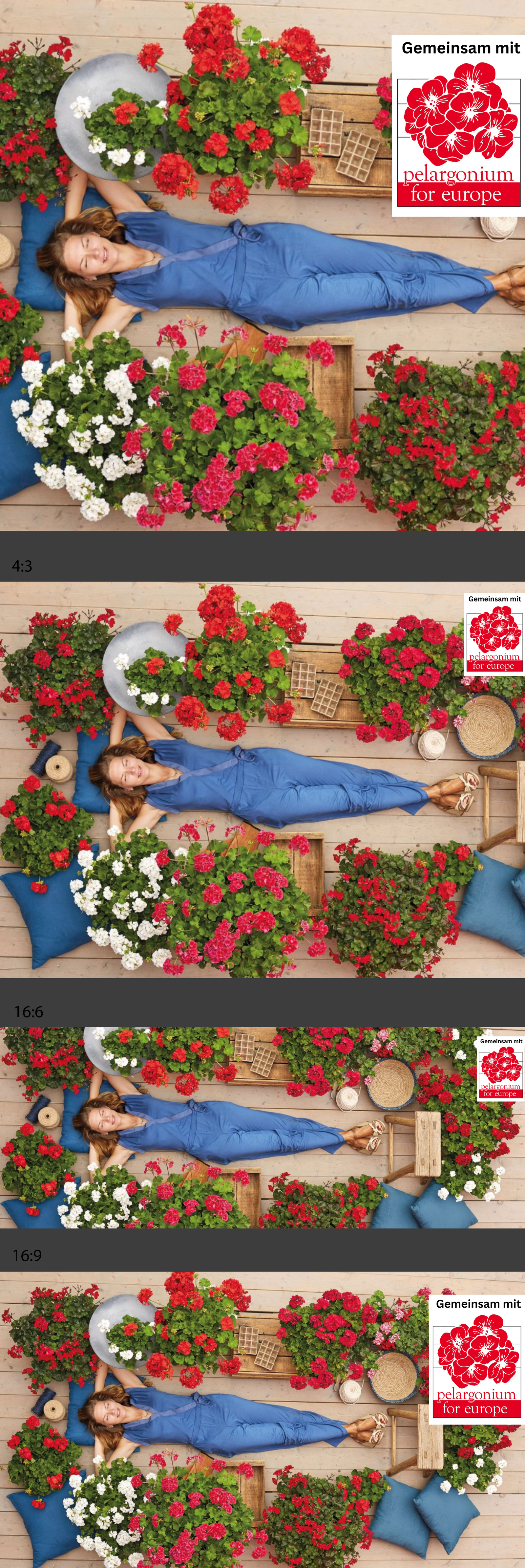 Pelargonium for Euopre