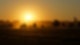 Sonne Sonnenaufgang Sonnenuntergang Garten Natur