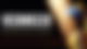 Vermeer Banner