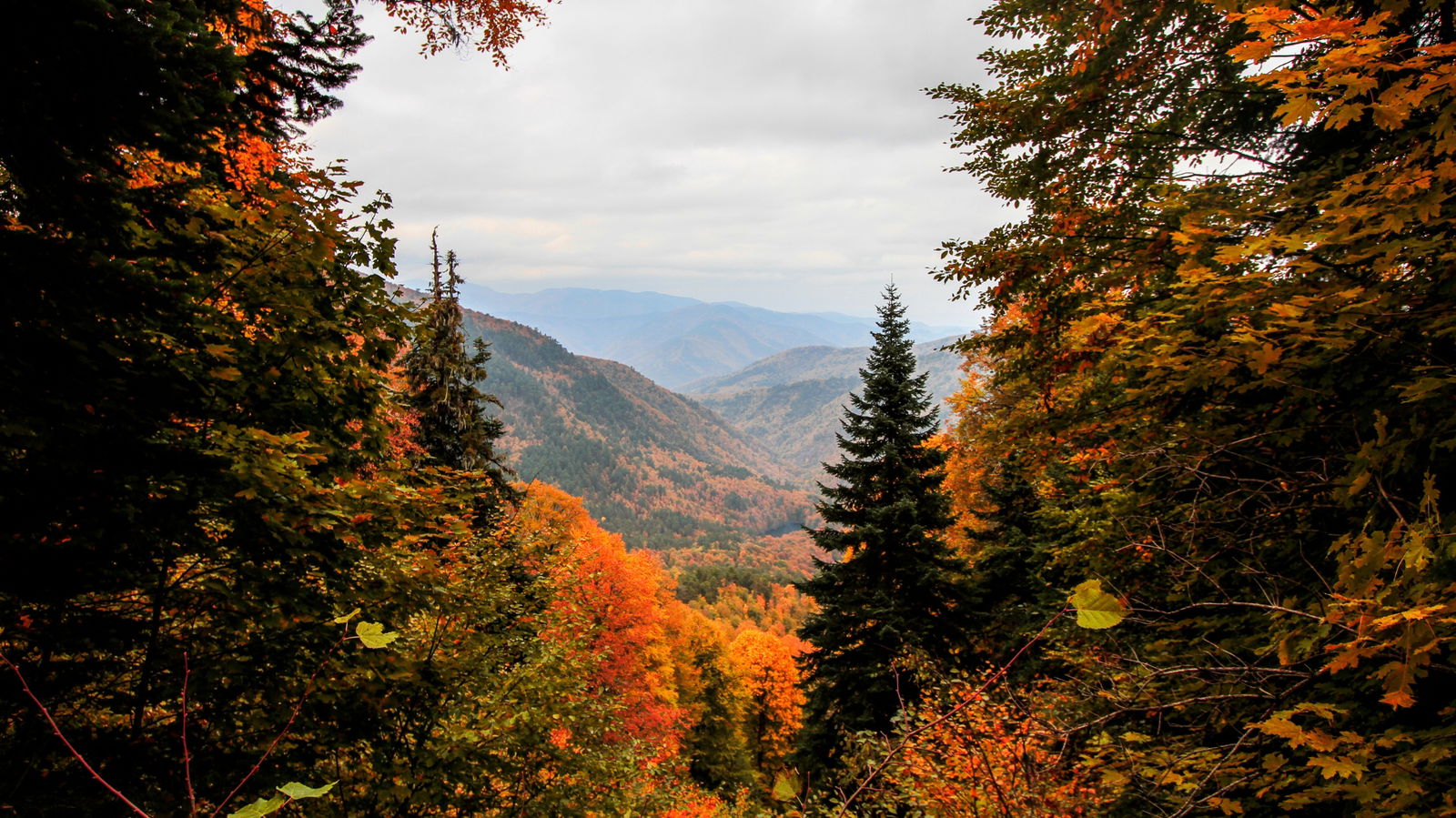 Schwarzwald im Herbst