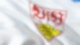 VfB