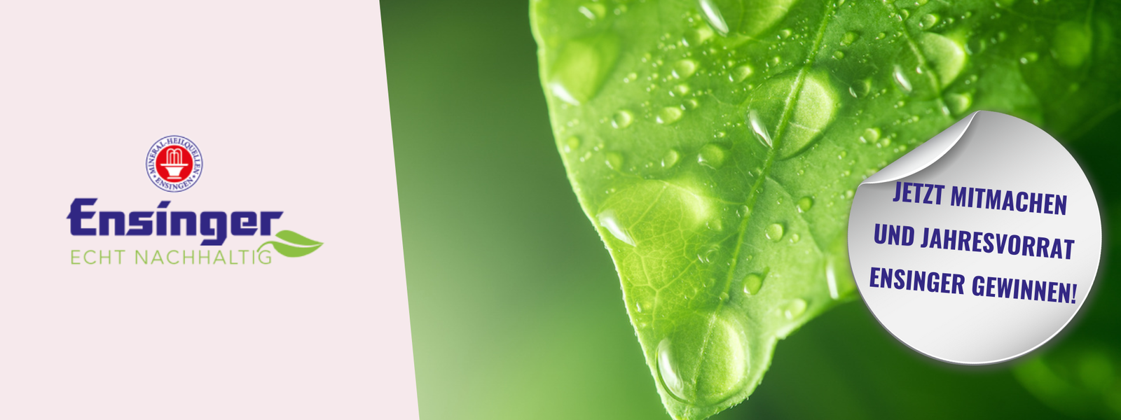 Ensinger Jahresvorrat