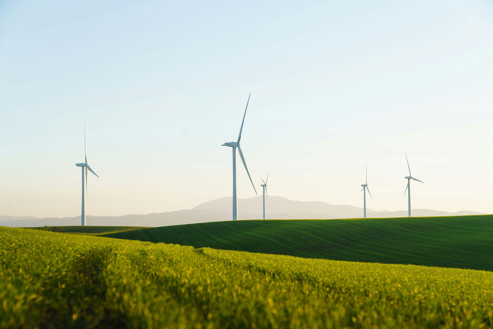 Windräder in einer grünen Landschaft bei Sonnenschein