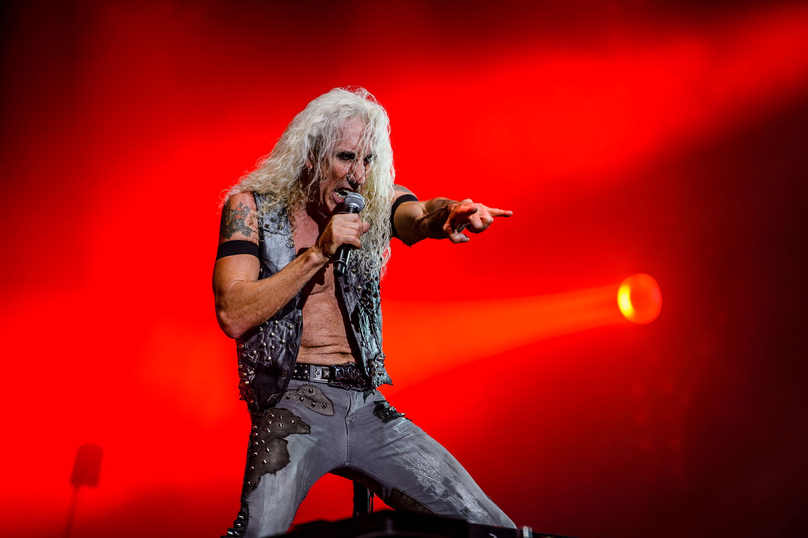 Dee Snider