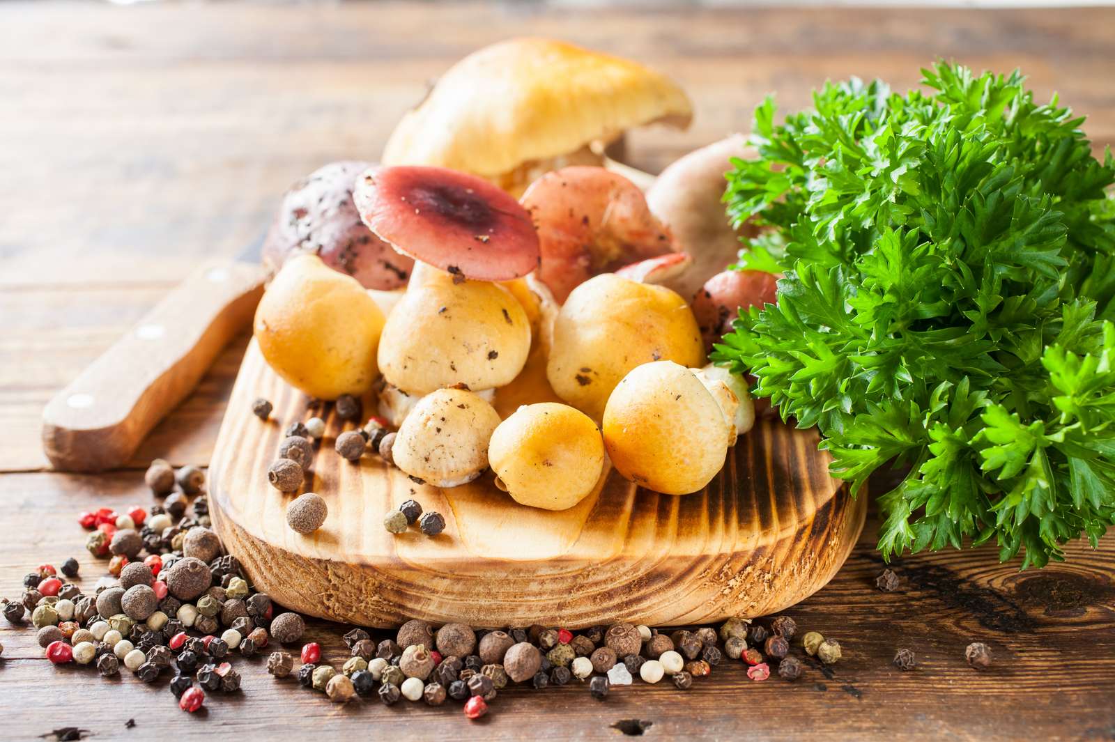 Frische Pilze zubereiten