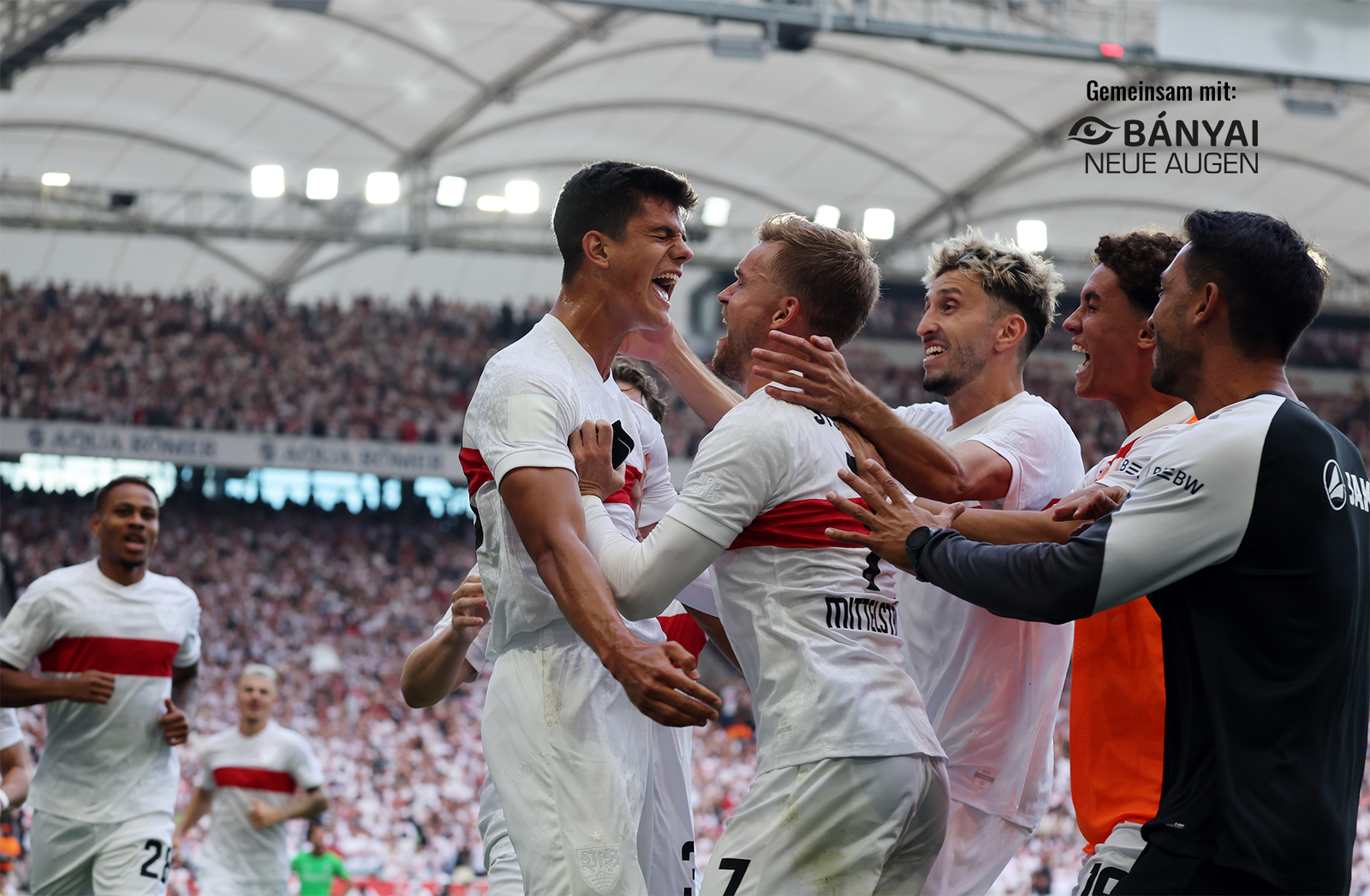 VfB Stuttgart Europa League Banyai