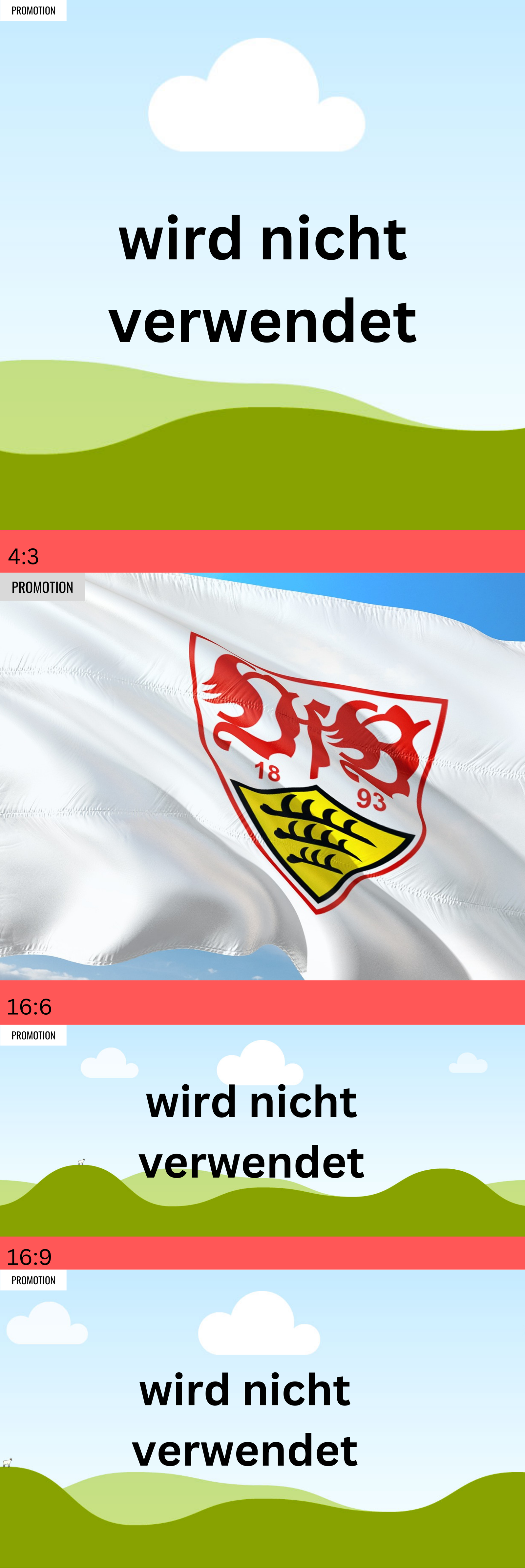 VfB 