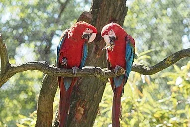 Zoo Leipzig