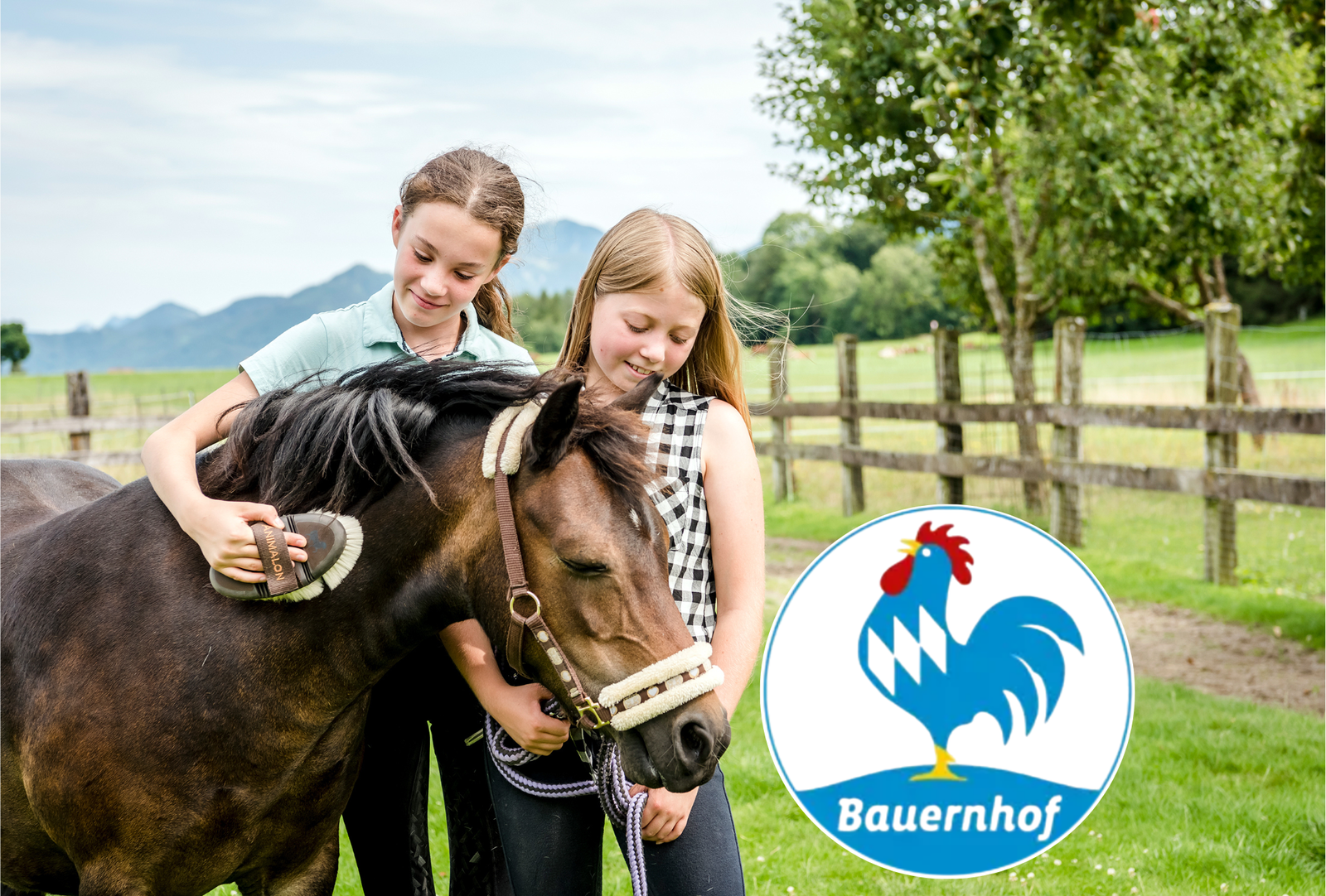 Bild mit Logo