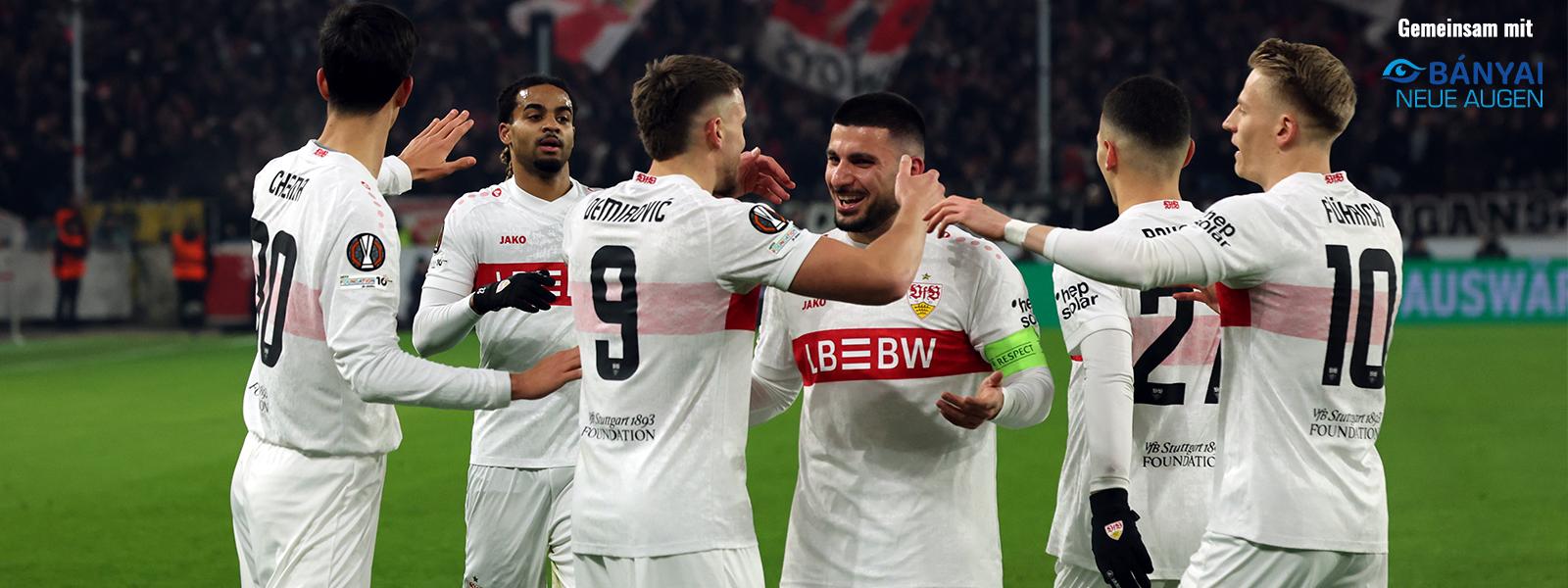 baynai x vfb 