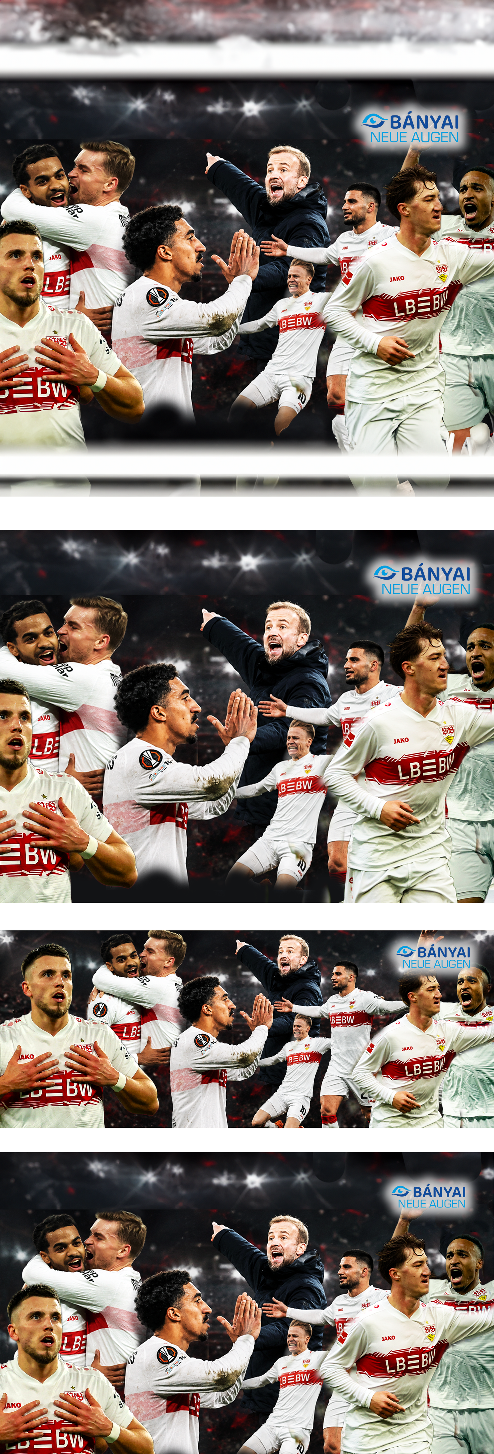 vbanyai einbettung vfb 