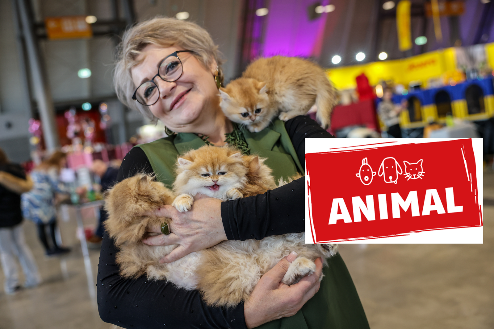 Animal 2026