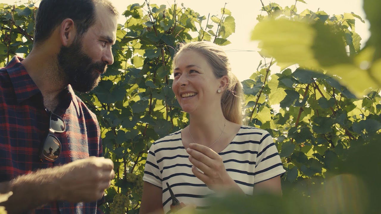 Badischer Weinradweg