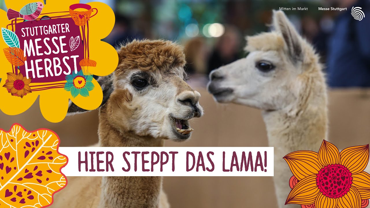 Das war der Stuttgarter Messeherbst 2024!